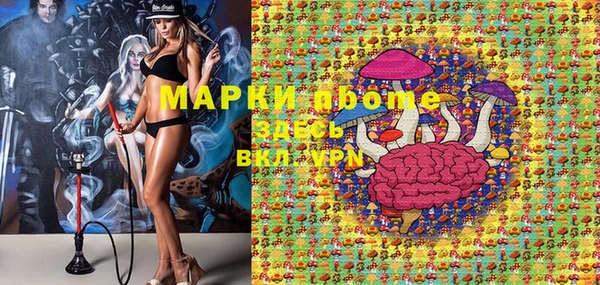 PSILOCYBIN Сясьстрой
