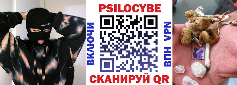 купить  цена  МЕГА ТОР  Псилоцибиновые грибы Psilocybine cubensis  Агидель 
